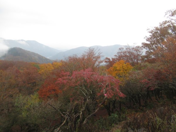 登山道